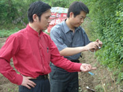 親臨實驗基地嚴(yán)抓試驗示范.jpg