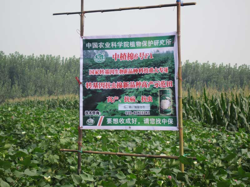 我們的田間海報(bào).jpg