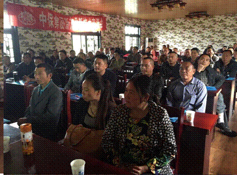 image001.gif