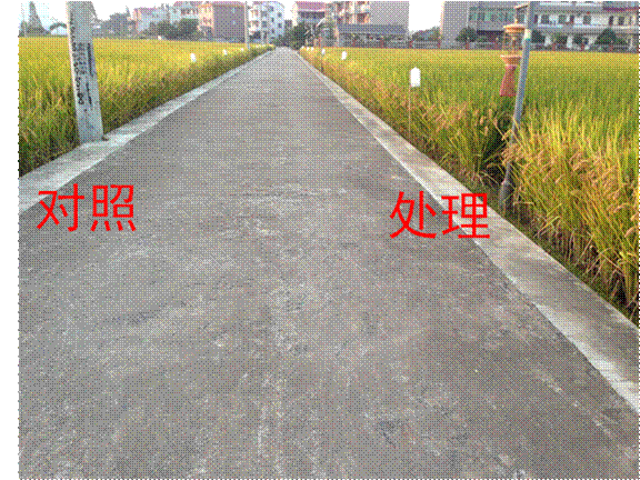 image002.gif