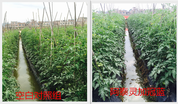 image004.png