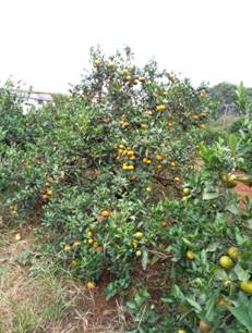 image003.jpg