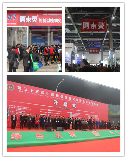 阿泰靈組合.png 阿泰靈組合.png
