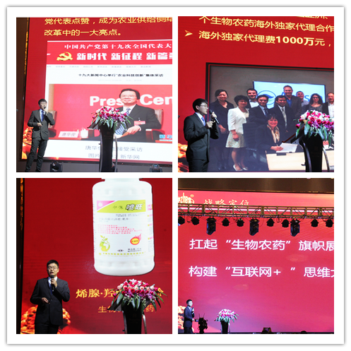 楊洋定文墨組圖.png 楊洋定文墨組圖.png