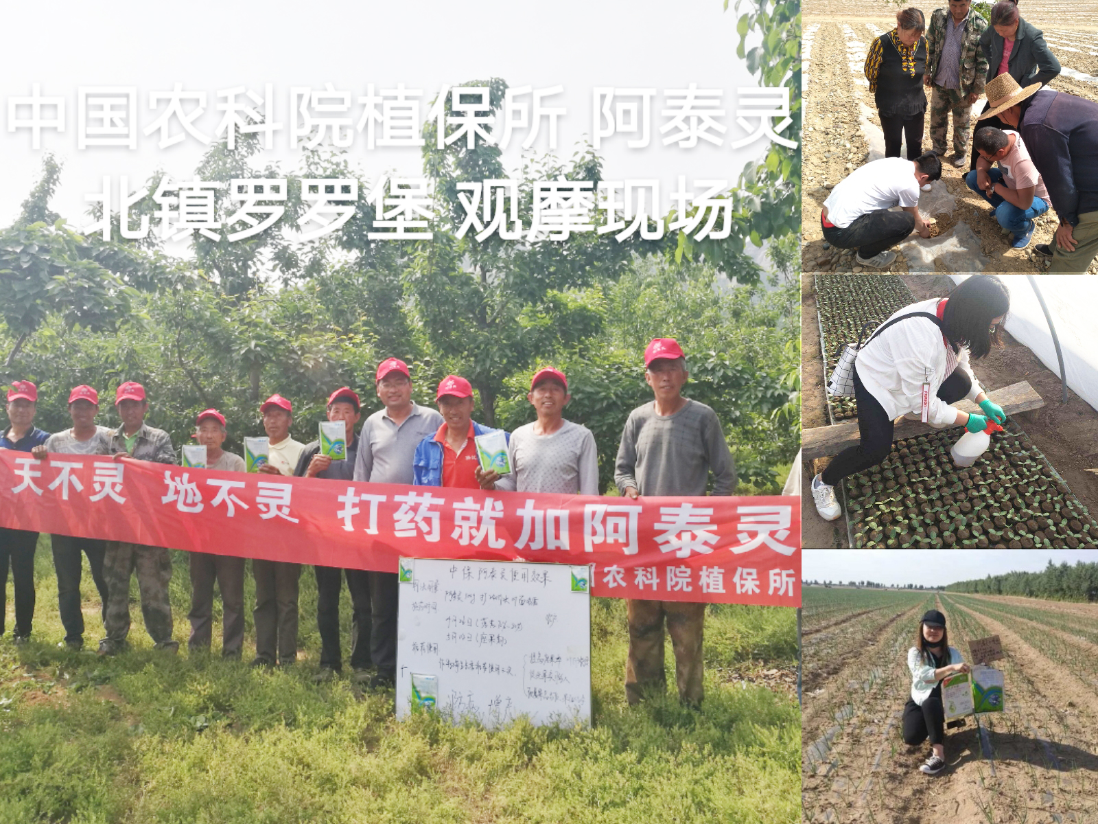 實(shí)驗(yàn)示范與觀摩1.jpg 實(shí)驗(yàn)示范與觀摩1.jpg