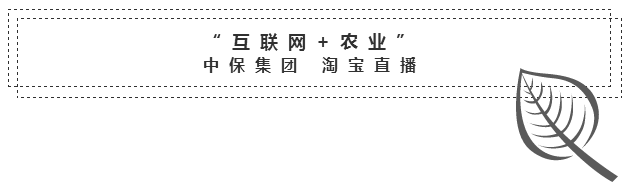中保農(nóng)藥1.png 中保農(nóng)藥1.png