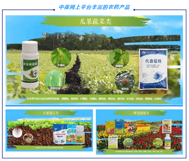 中保農(nóng)藥3.png 中保農(nóng)藥3.png
