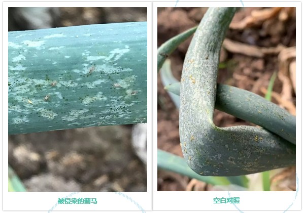 微信2.jpg 微信2.jpg