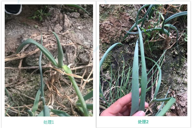 微信3.jpg 微信3.jpg