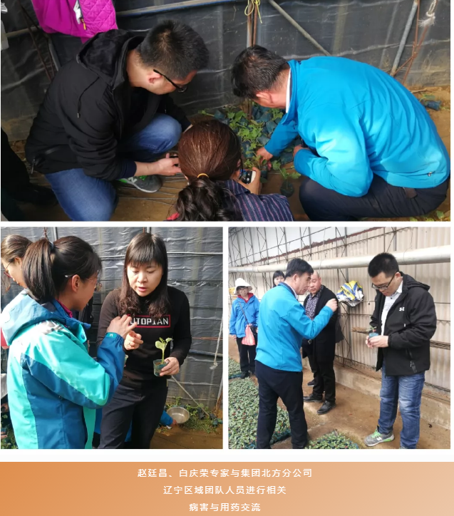 微信2.png 微信2.png