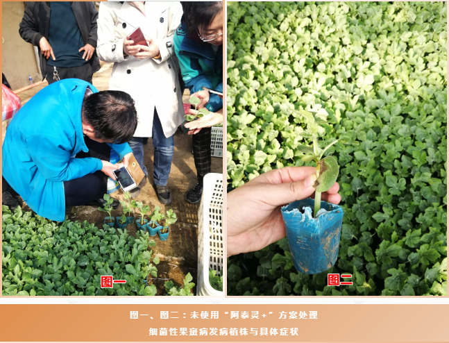 微信3.png 微信3.png