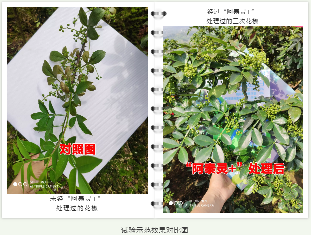 微信2.png 微信2.png