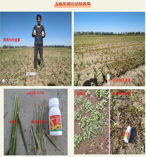 微信1.png 微信1.png