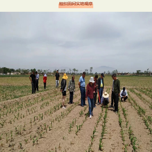 微信2.png 微信2.png