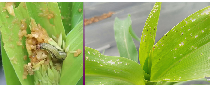 未標題-2.jpg 未標題-2.jpg