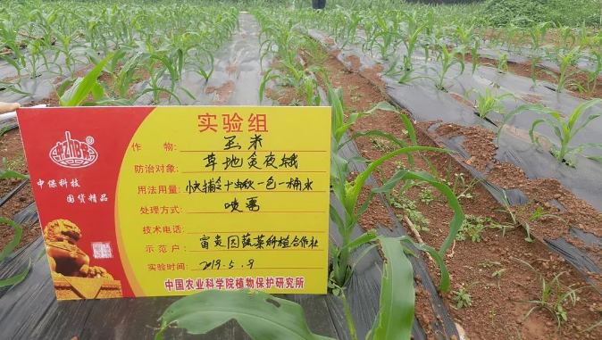 C1034365-768D-48ce-9D48-CB7511916724.png C1034365-768D-48ce-9D48-CB7511916724.png