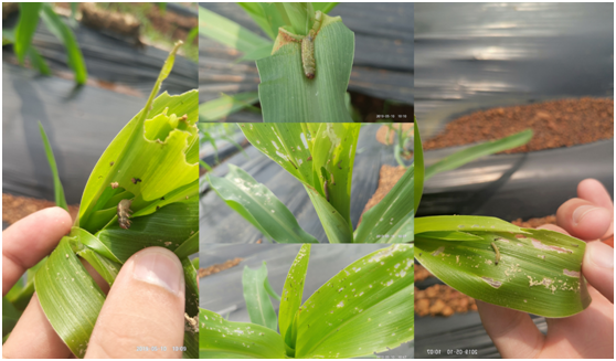 7B0C9080-1EF1-4b3e-8AF8-DE3A9C5C8F68.png 7B0C9080-1EF1-4b3e-8AF8-DE3A9C5C8F68.png