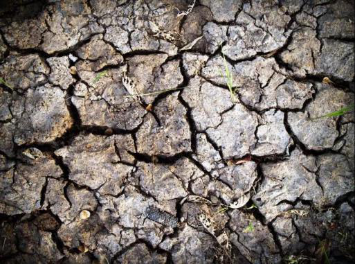 圖片1.png 圖片1.png