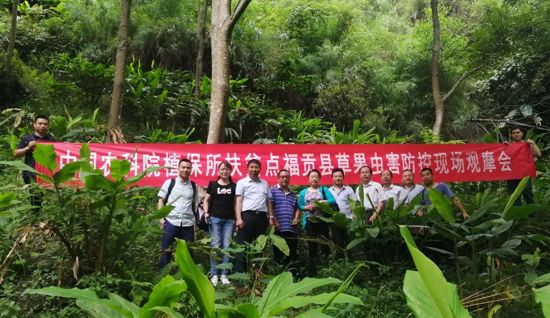 untitled.png untitled.png