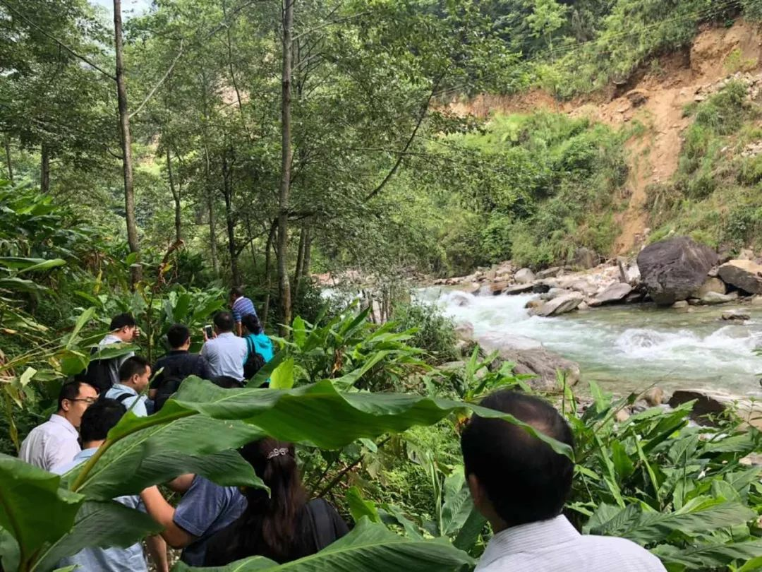 untitled1.png untitled1.png