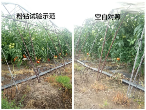 微信2.png 微信2.png