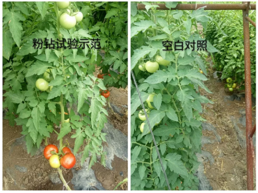 微信3.png 微信3.png