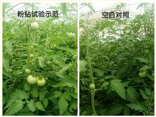 微信4.png 微信4.png