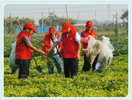 微信7.png 微信7.png