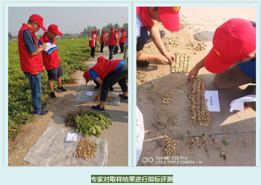 微信3.png 微信3.png