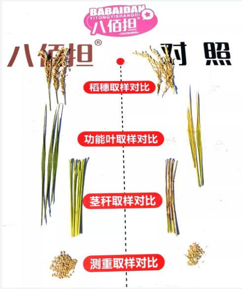 微信4.png 微信4.png