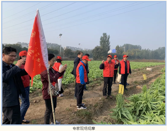 微信3.png 微信3.png