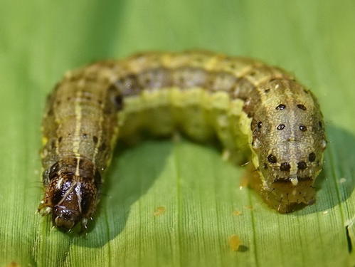 u=2124473021,196413646&fm=26&gp=0.jpg u=2124473021,196413646&fm=26&gp=0.jpg