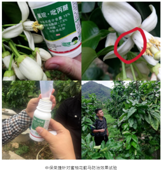 94C96D45-3B47-4aee-9015-FFF32B24025E.png 94C96D45-3B47-4aee-9015-FFF32B24025E.png