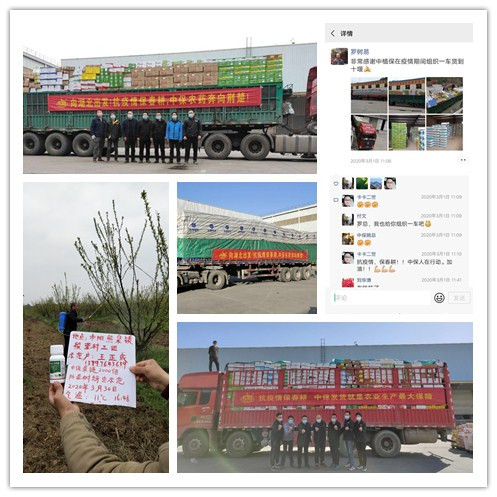 中南.jpg 中南.jpg