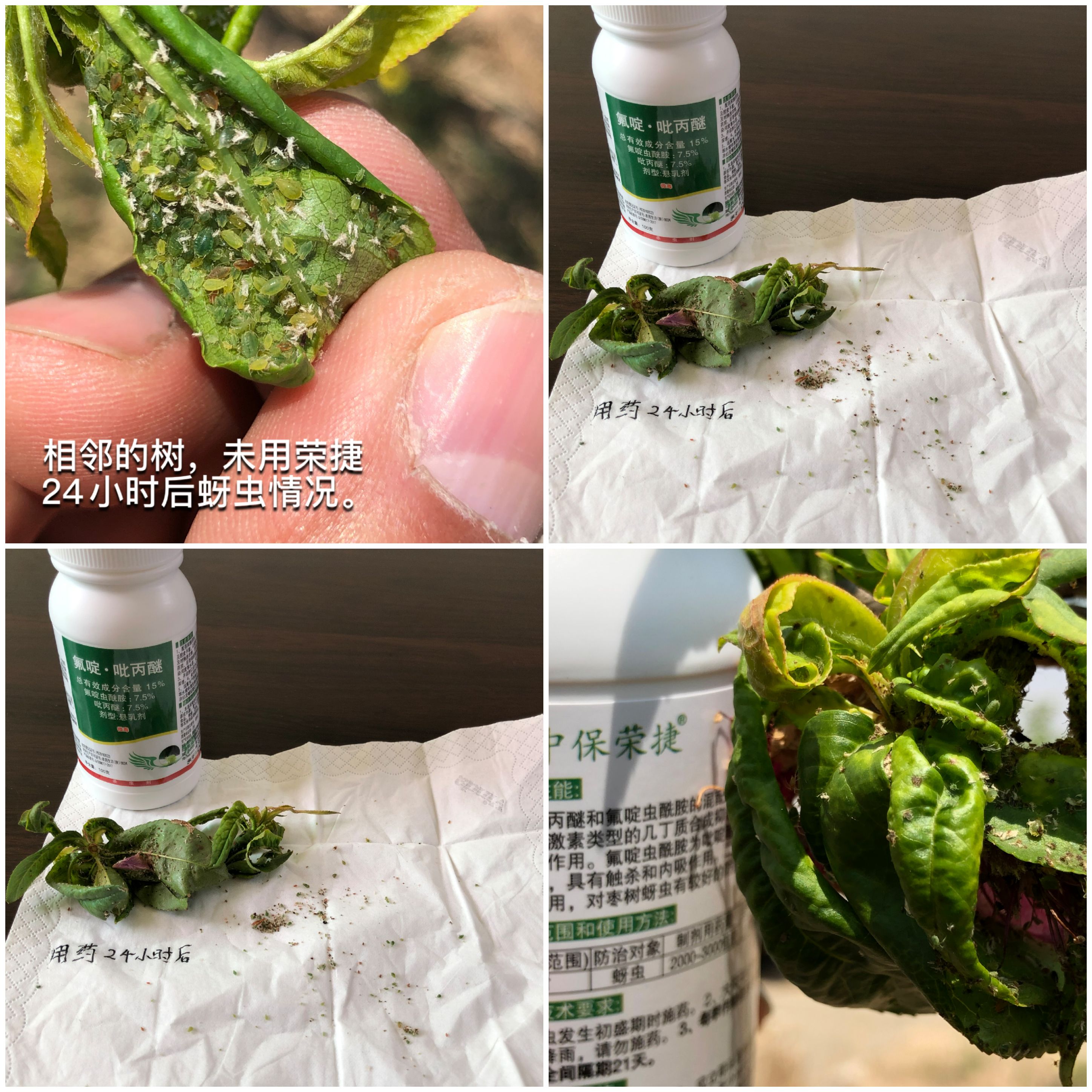 lADPDhmOrf-SWUvNC1DNC1A_2896_2896.jpg lADPDhmOrf-SWUvNC1DNC1A_2896_2896.jpg