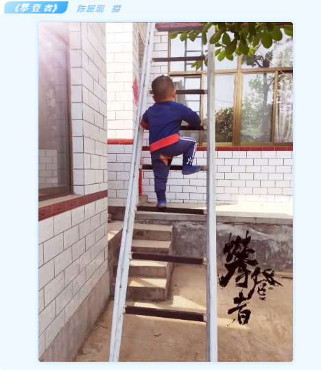 lALPDgfLN7wLK2bNAhvNAdQ_468_539.png lALPDgfLN7wLK2bNAhvNAdQ_468_539.png