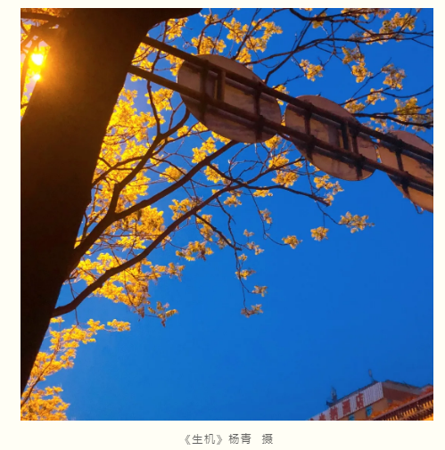 lALPDiCprj2hABnNAfnNAfM_499_505.png lALPDiCprj2hABnNAfnNAfM_499_505.png