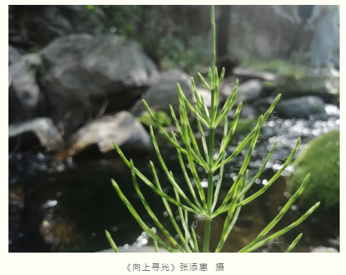 lALPDgQ9uRee13zNAYnNAe4_494_393.png lALPDgQ9uRee13zNAYnNAe4_494_393.png