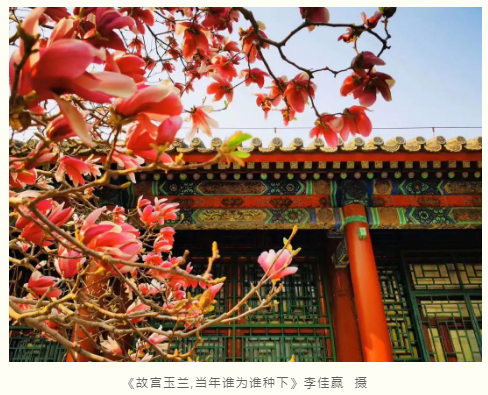 lALPDhYBMk-F1u7NAYvNAeg_488_395.png lALPDhYBMk-F1u7NAYvNAeg_488_395.png