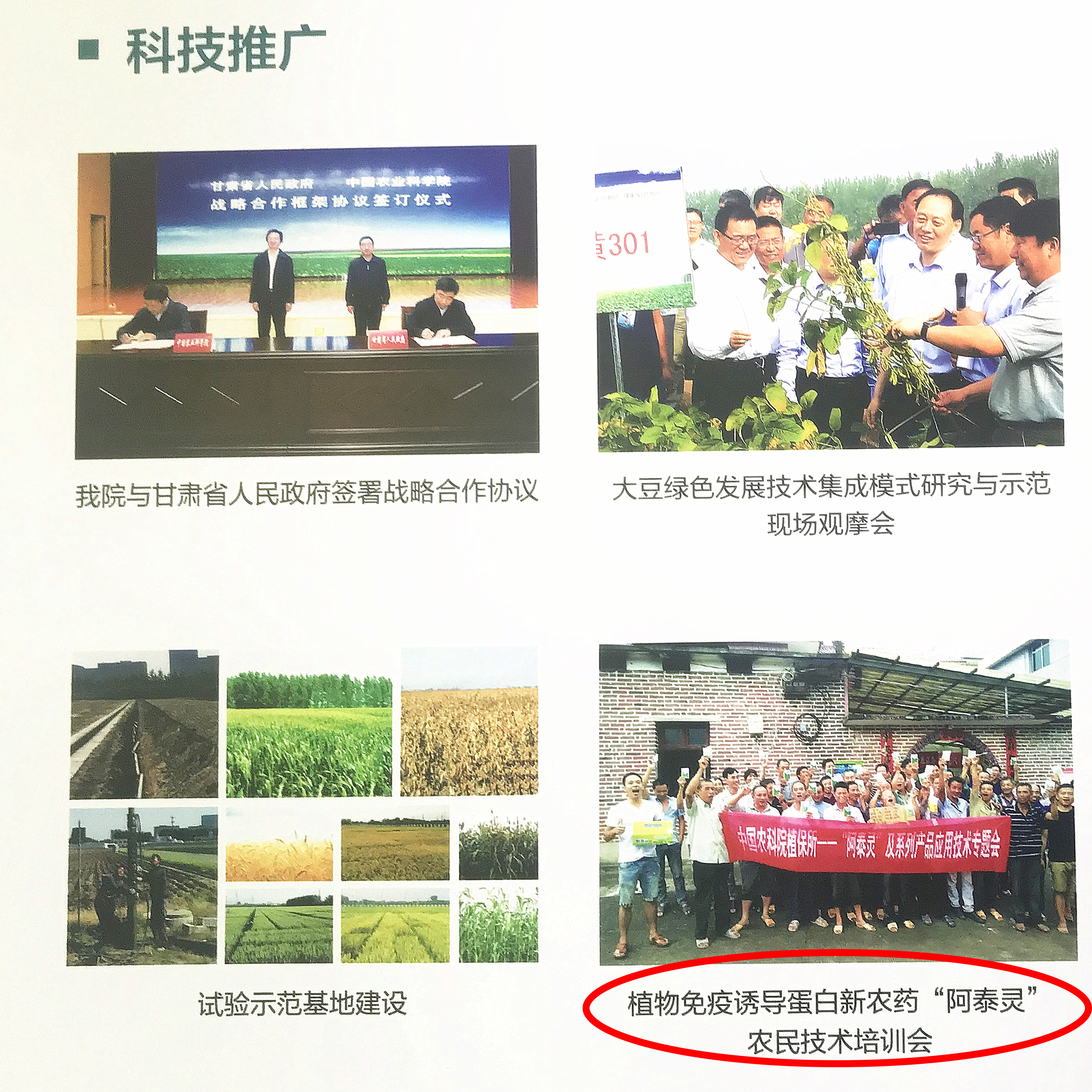 阿泰靈.jpg 阿泰靈.jpg