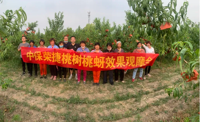 lALPDiQ3LeQVlTzNAZDNApE_657_400.png lALPDiQ3LeQVlTzNAZDNApE_657_400.png