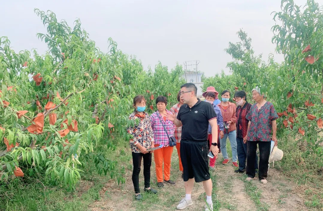 lALPDiCprz9Ura3NAa3NApA_656_429.png lALPDiCprz9Ura3NAa3NApA_656_429.png