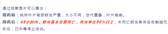 lALPDhJztKw1FfDMg80ChQ_645_131.png lALPDhJztKw1FfDMg80ChQ_645_131.png