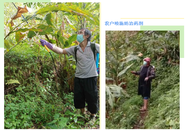 lALPDgfLOb8hUPvNAbrNAnQ_628_442.png lALPDgfLOb8hUPvNAbrNAnQ_628_442.png