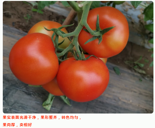 lALPDiCpsH3_QGjNAZ_NAfU_501_415.png lALPDiCpsH3_QGjNAZ_NAfU_501_415.png