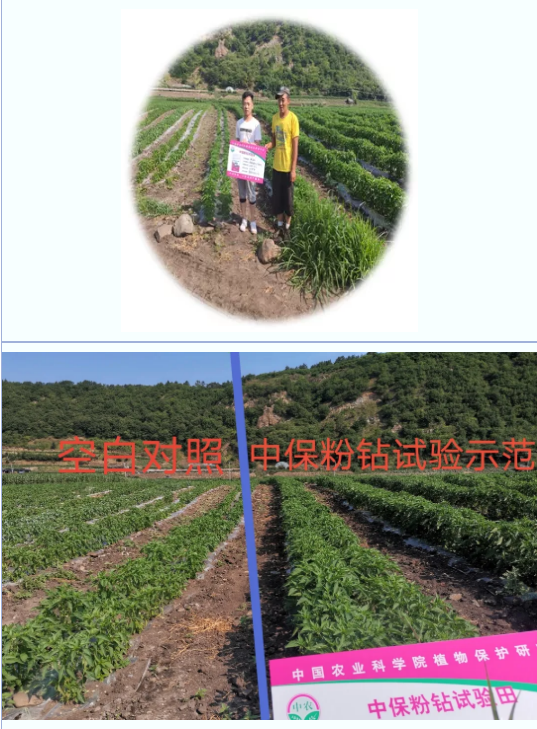 lALPDh0cMlKvQ4vNAtnNAhk_537_729.png lALPDh0cMlKvQ4vNAtnNAhk_537_729.png