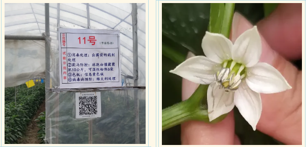 lALPDgfLOrBKZkDNASLNAls_603_290.png lALPDgfLOrBKZkDNASLNAls_603_290.png