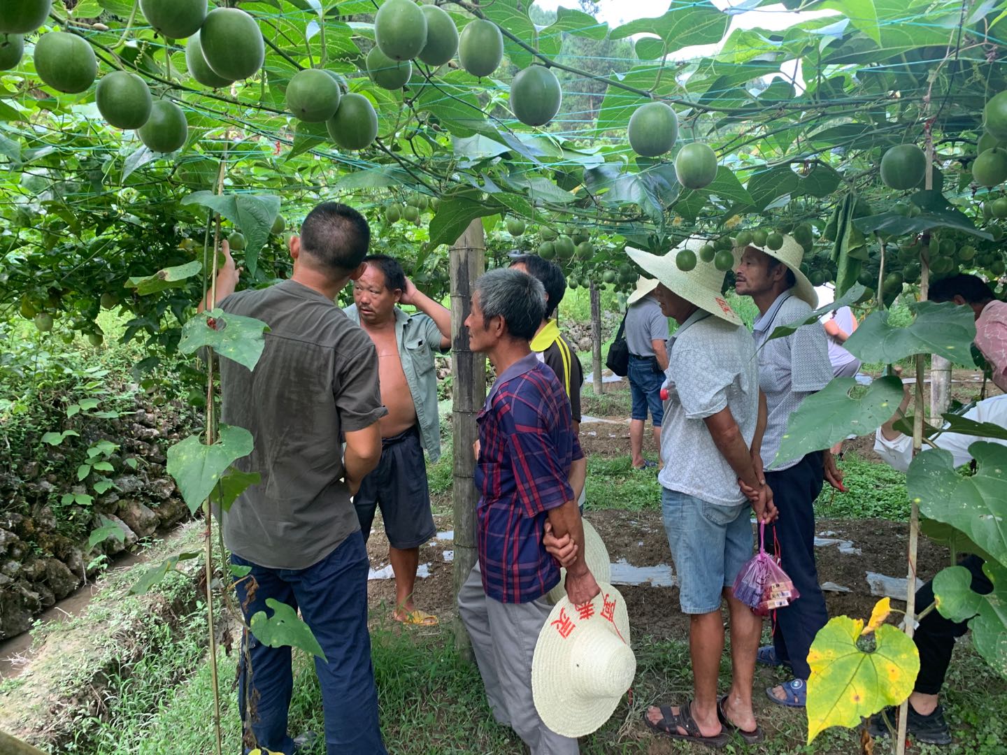 lADPDhYBNcrbByPNBDjNBaA_1440_1080.jpg lADPDhYBNcrbByPNBDjNBaA_1440_1080.jpg