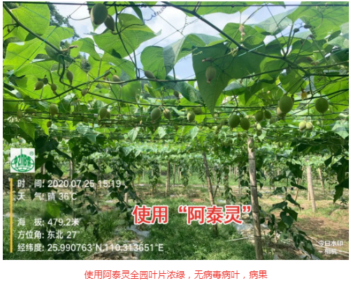 lALPDiCpsbpcW_TNAZXNAfY_502_405.png lALPDiCpsbpcW_TNAZXNAfY_502_405.png