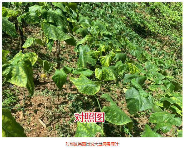 lALPDg7mOIJ-RGDNAdrNAk4_590_474.png lALPDg7mOIJ-RGDNAdrNAk4_590_474.png